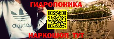 a pvp Будённовск