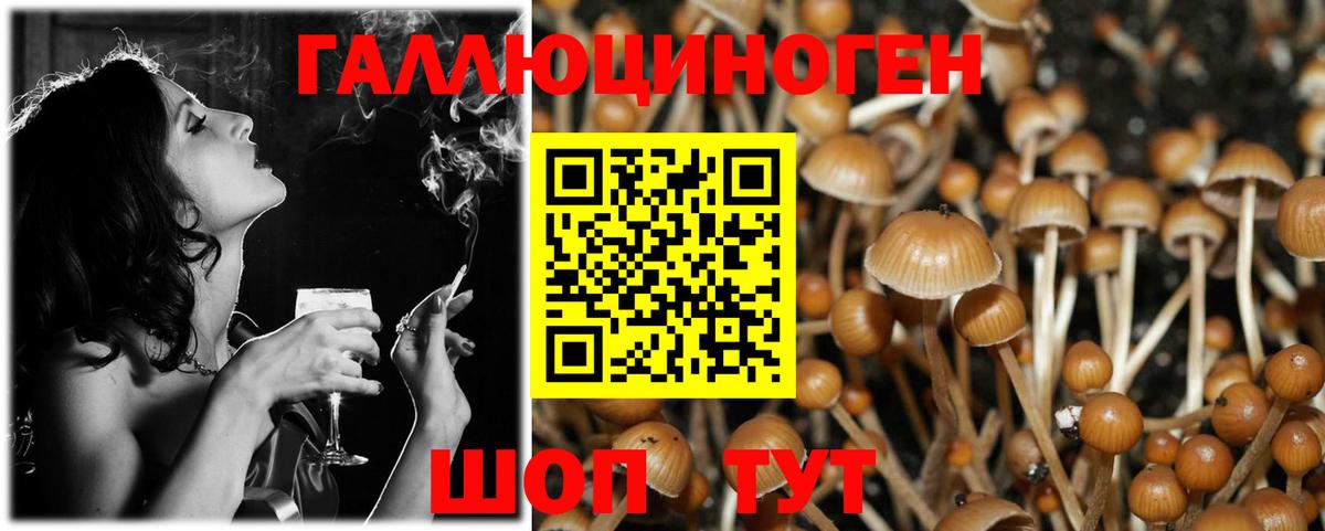 Псилоцибиновые грибы Psilocybine cubensis  Вход с VPN  Невинномысск 